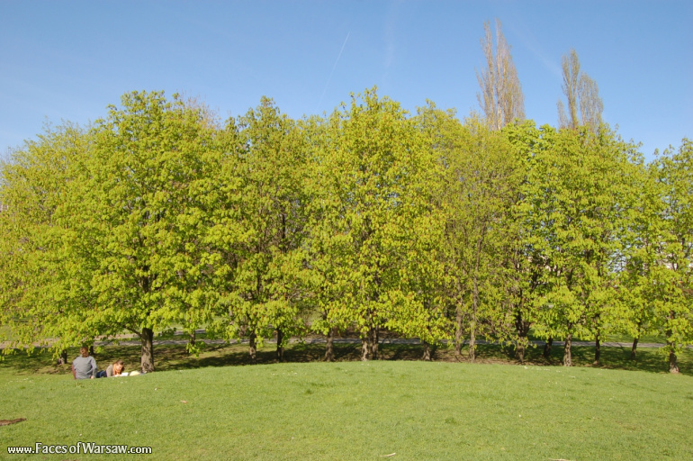 Faces of Warsaw - Mokotów Field, Spring 2009