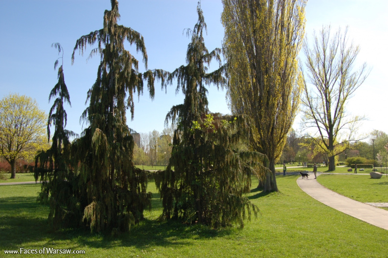 Faces of Warsaw - Mokotów Field, Spring 2009