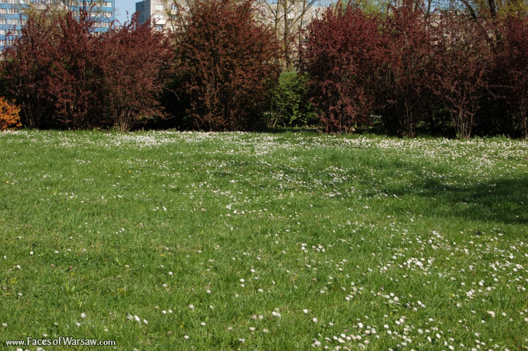 Faces of Warsaw - Mokotów Field, Spring 2009