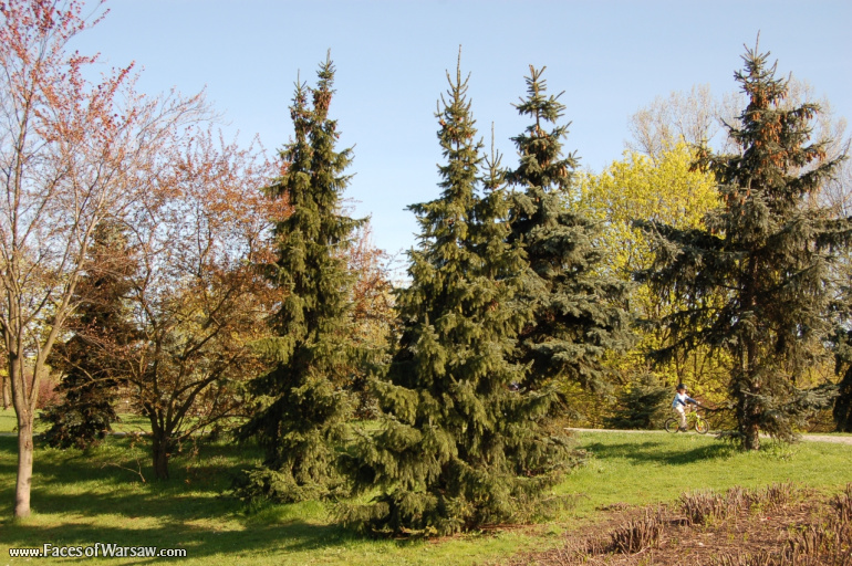 Faces of Warsaw - Mokotów Field, Spring 2009