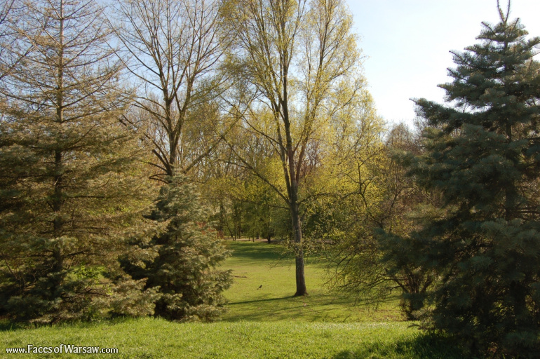 Faces of Warsaw - Mokotów Field, Spring 2009