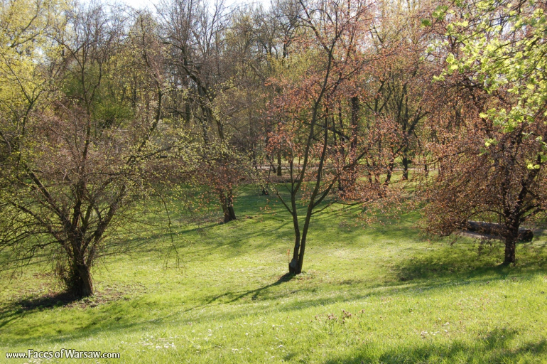 Faces of Warsaw - Mokotów Field, Spring 2009