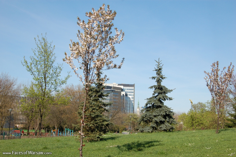 Faces of Warsaw - Mokotów Field, Spring 2009
