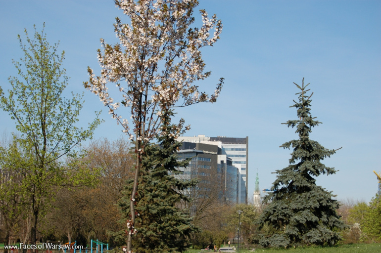 Faces of Warsaw - Mokotów Field, Spring 2009