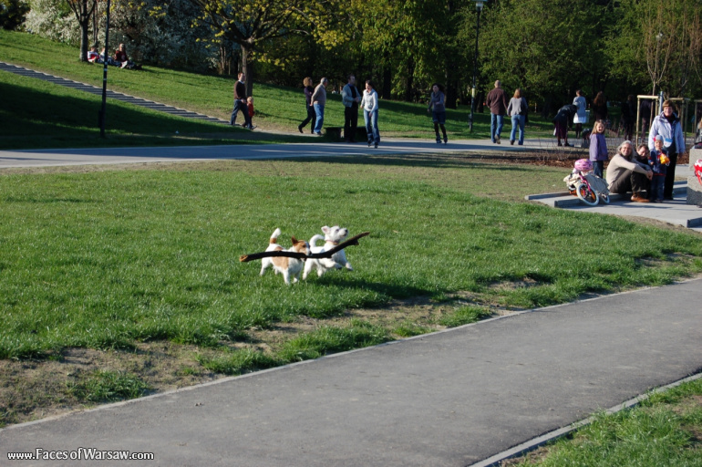 Faces of Warsaw - Mokotów Field, Spring 2009