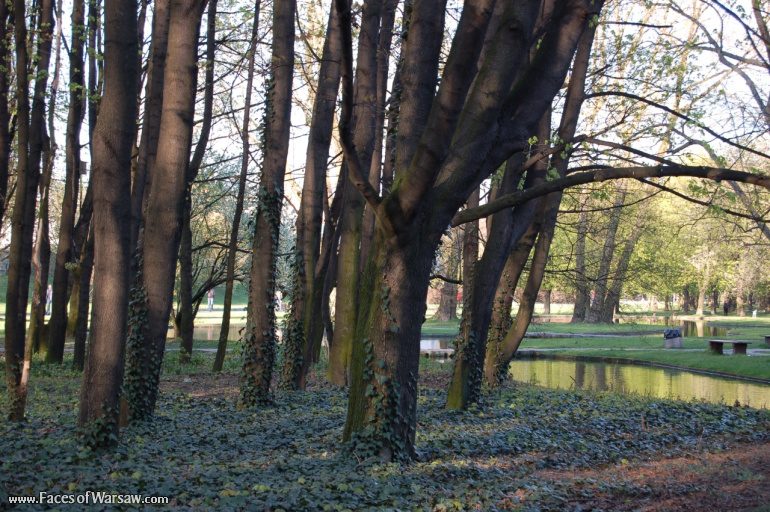 Faces of Warsaw - Mokotów Field, Spring 2009