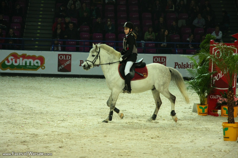 Faces of Warsaw - International Indoor Show Jumping Competition CSI-W, Torwar, 2010