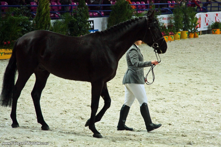 Faces of Warsaw - International Indoor Show Jumping Competition CSI-W, Torwar, 2010