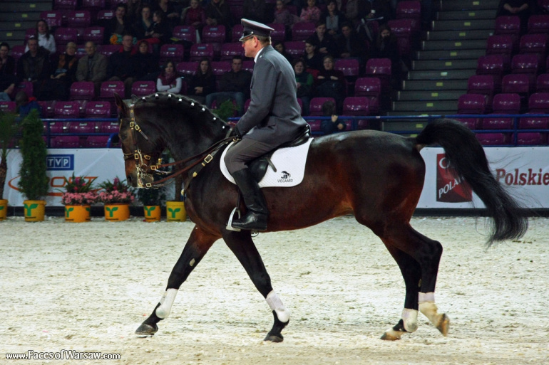 Faces of Warsaw - International Indoor Show Jumping Competition CSI-W, Torwar, 2010