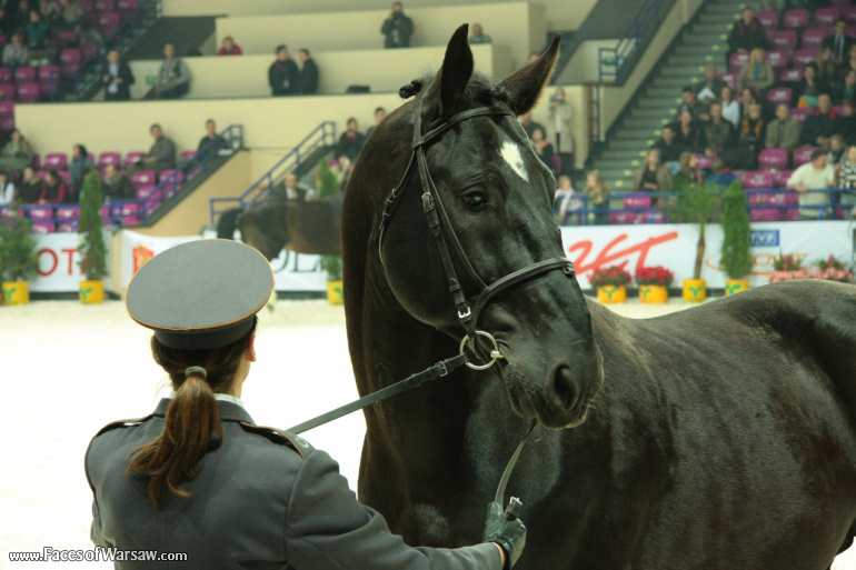 Faces of Warsaw - International Indoor Show Jumping Competition CSI-W, Torwar, 2010