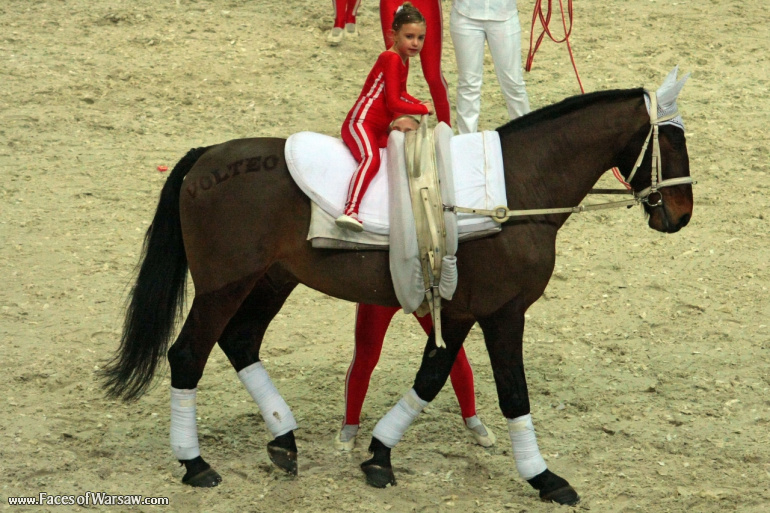 Faces of Warsaw - International Indoor Show Jumping Competition CSI-W, Torwar, 2010