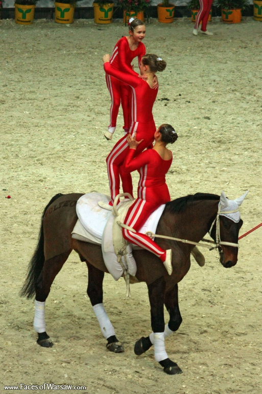 Faces of Warsaw - International Indoor Show Jumping Competition CSI-W, Torwar, 2010