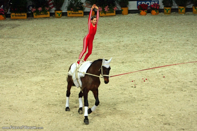 Faces of Warsaw - International Indoor Show Jumping Competition CSI-W, Torwar, 2010