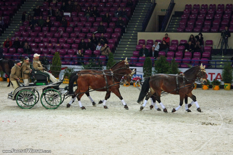 Faces of Warsaw - International Indoor Show Jumping Competition CSI-W, Torwar, 2010