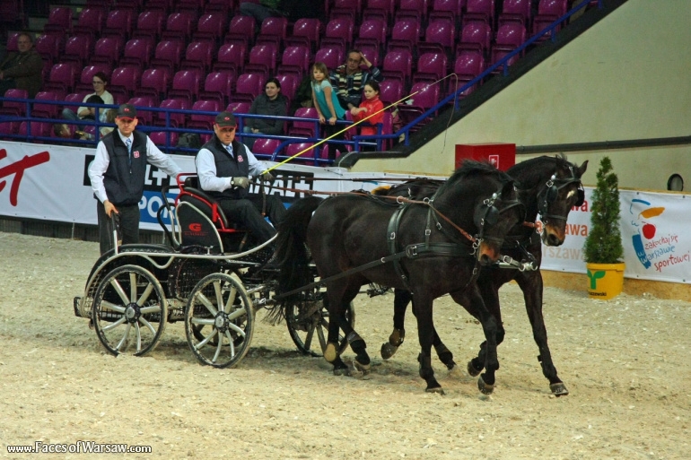 Faces of Warsaw - International Indoor Show Jumping Competition CSI-W, Torwar, 2010