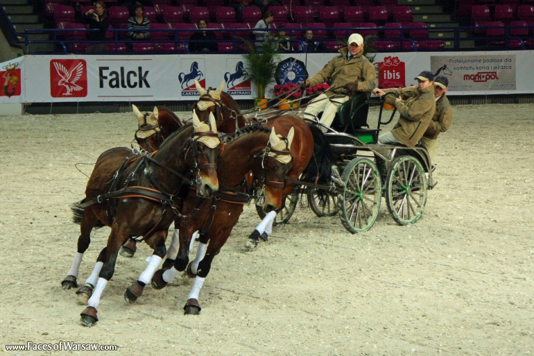Faces of Warsaw - International Indoor Show Jumping Competition CSI-W, Torwar, 2010