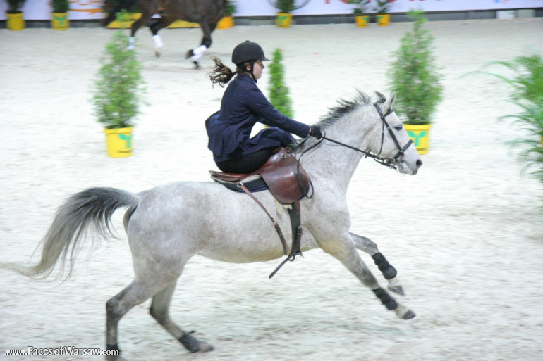Faces of Warsaw - International Indoor Show Jumping Competition CSI-W, Torwar, 2010