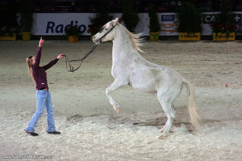 Faces of Warsaw - International Indoor Show Jumping Competition CSI-W, Torwar, 2010