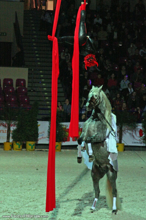 Faces of Warsaw - International Indoor Show Jumping Competition CSI-W, Torwar, 2010