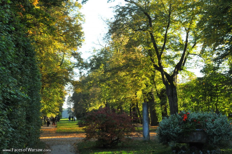 Faces of Warsaw - Autumn in Nieborów park, October 2010