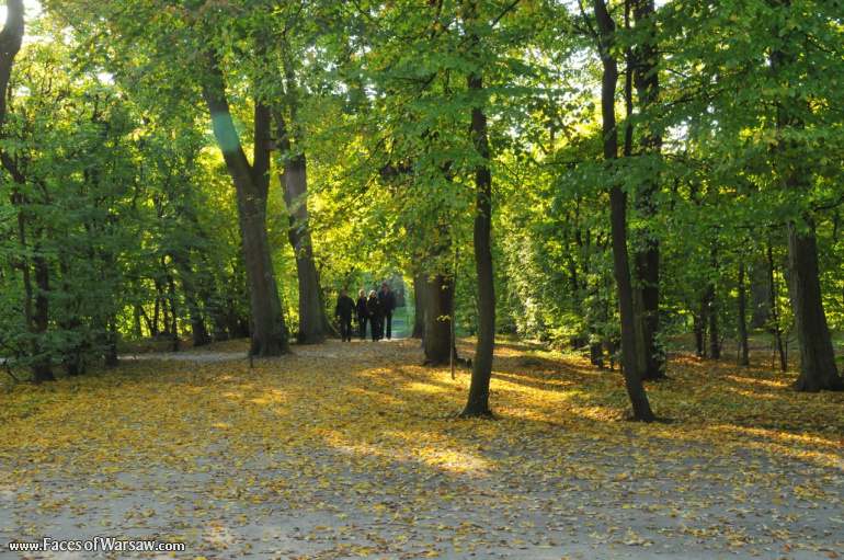 Faces of Warsaw - Autumn in Nieborów park, October 2010