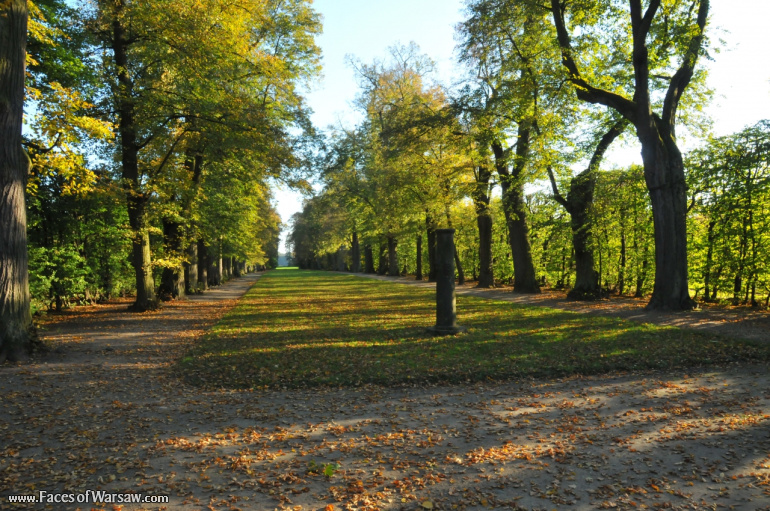 Faces of Warsaw - Autumn in Nieborów park, October 2010