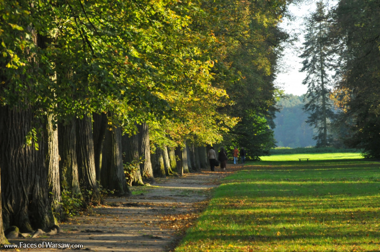 Faces of Warsaw - Autumn in Nieborów park, October 2010