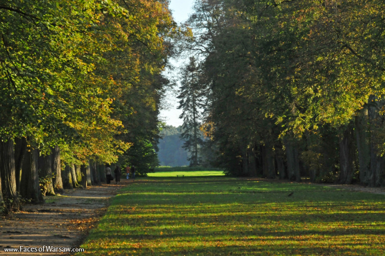 Faces of Warsaw - Autumn in Nieborów park, October 2010