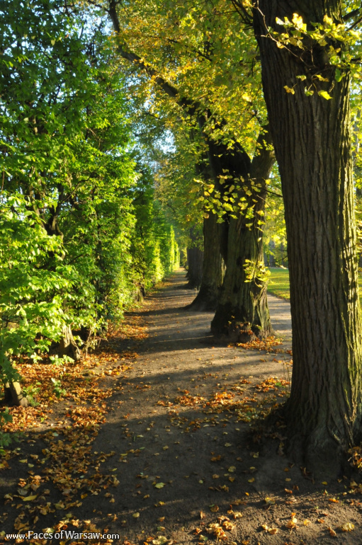 Faces of Warsaw - Autumn in Nieborów park, October 2010