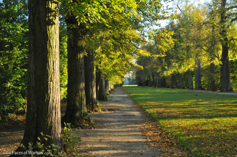 Faces of Warsaw - Autumn in Nieborów park, October 2010