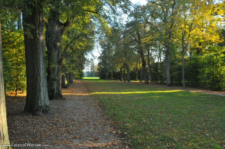 Faces of Warsaw - Autumn in Nieborów park, October 2010