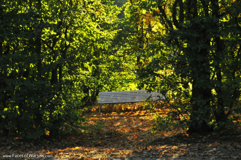 Faces of Warsaw - Autumn in Nieborów park, October 2010