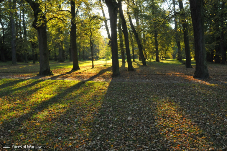 Faces of Warsaw - Autumn in Nieborów park, October 2010