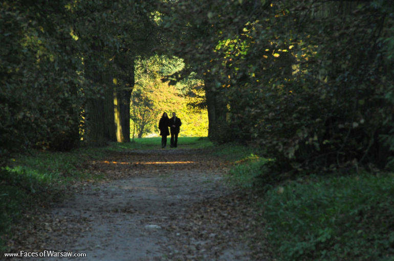 Faces of Warsaw - Autumn in Nieborów park, October 2010