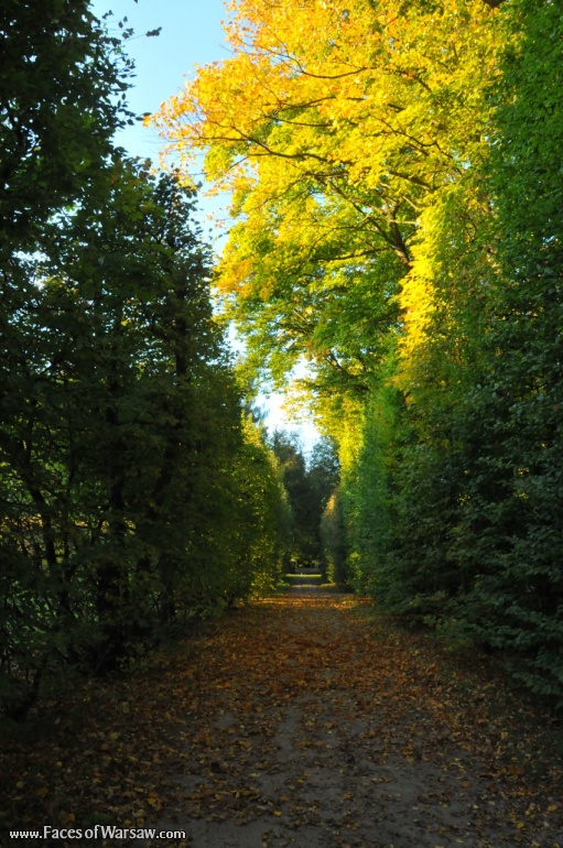 Faces of Warsaw - Autumn in Nieborów park, October 2010