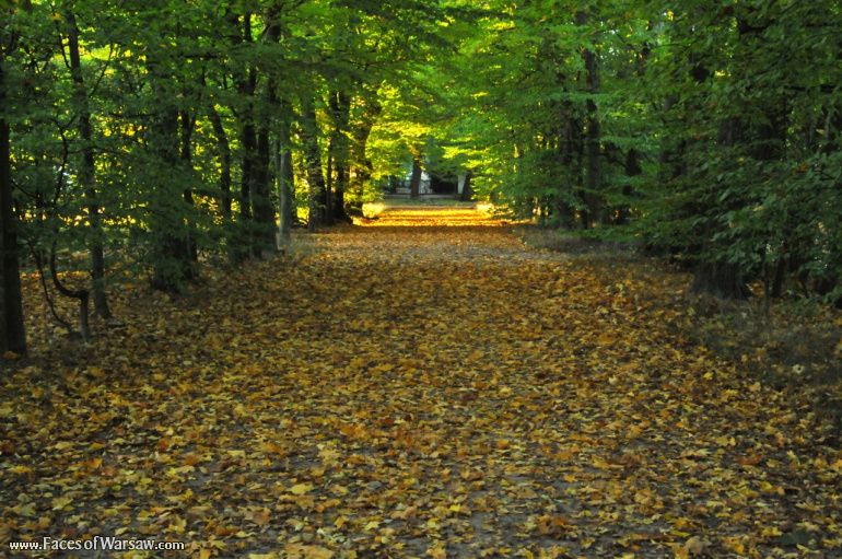 Faces of Warsaw - Autumn in Nieborów park, October 2010