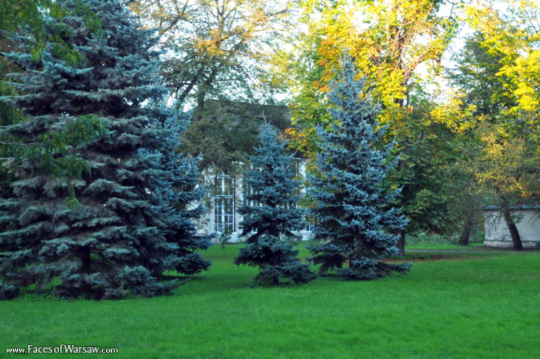 Faces of Warsaw - Autumn in Nieborów park, October 2010