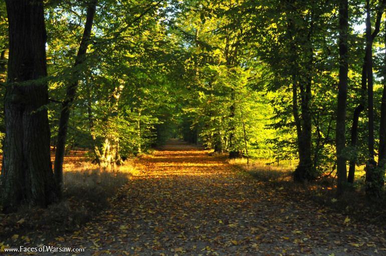 Faces of Warsaw - Autumn in Nieborów park, October 2010