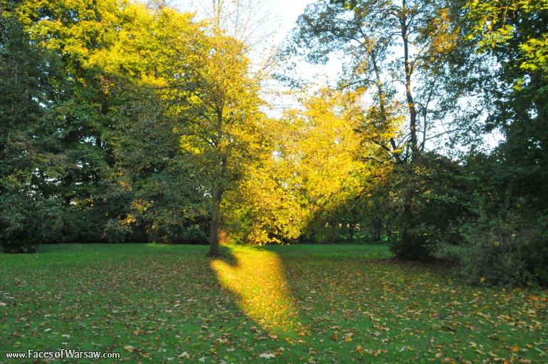 Faces of Warsaw - Autumn in Nieborów park, October 2010