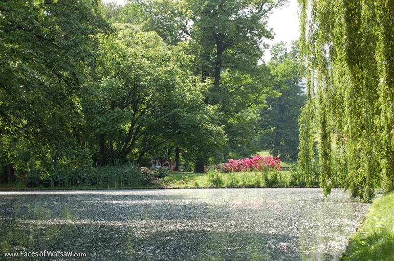 Faces of Warsaw - Łazienki in Summer