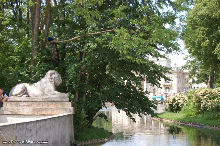 Faces of Warsaw - Łazienki in Summer