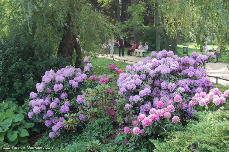 Faces of Warsaw - Łazienki in Summer