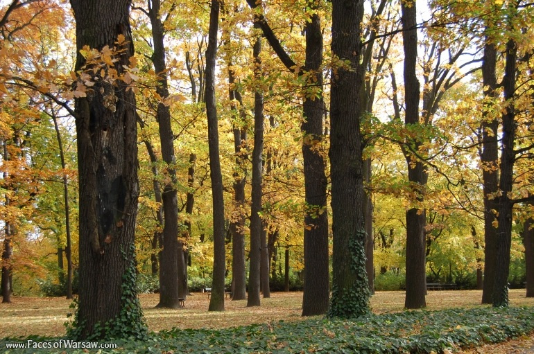 Faces of Warsaw - Łazienki in Autumn