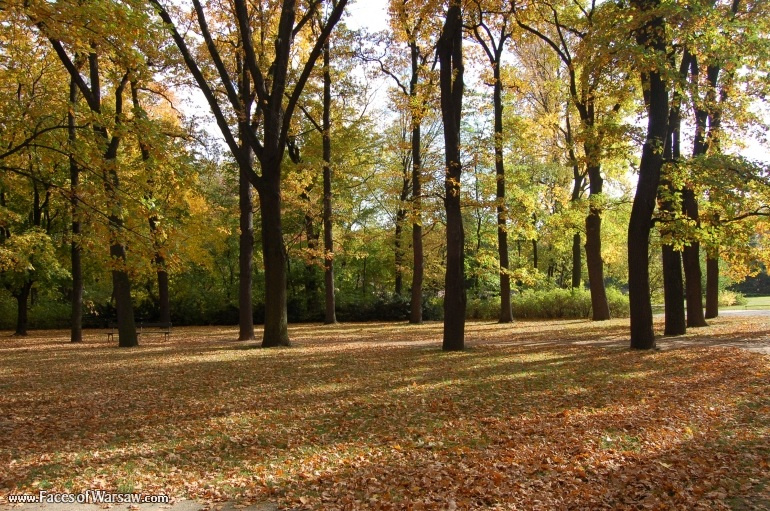 Faces of Warsaw - Łazienki in Autumn
