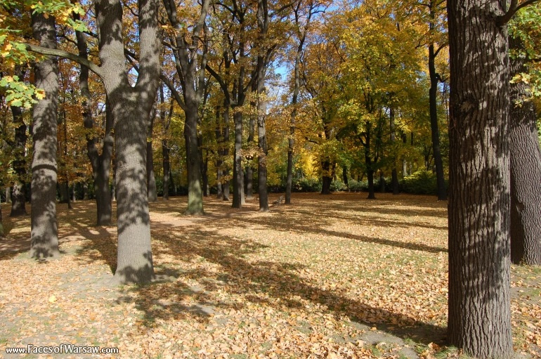 Faces of Warsaw - Łazienki in Autumn