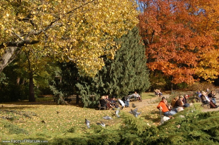 Faces of Warsaw - Łazienki in Autumn