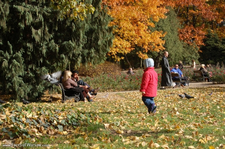 Faces of Warsaw - Łazienki in Autumn