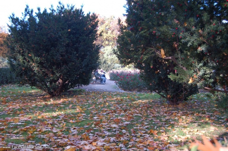 Faces of Warsaw - Łazienki in Autumn
