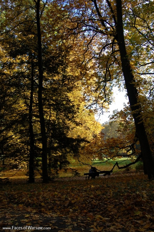 Faces of Warsaw - Łazienki in Autumn