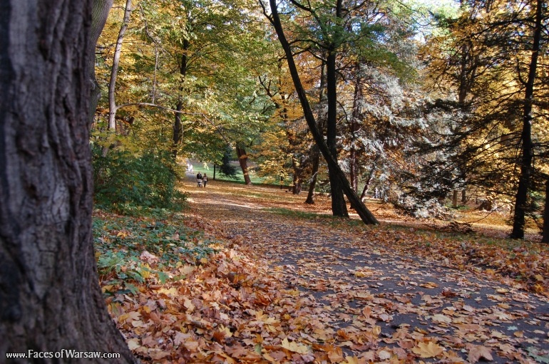 Faces of Warsaw - Łazienki in Autumn